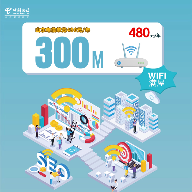 山东电信单宽300M480元.jpg